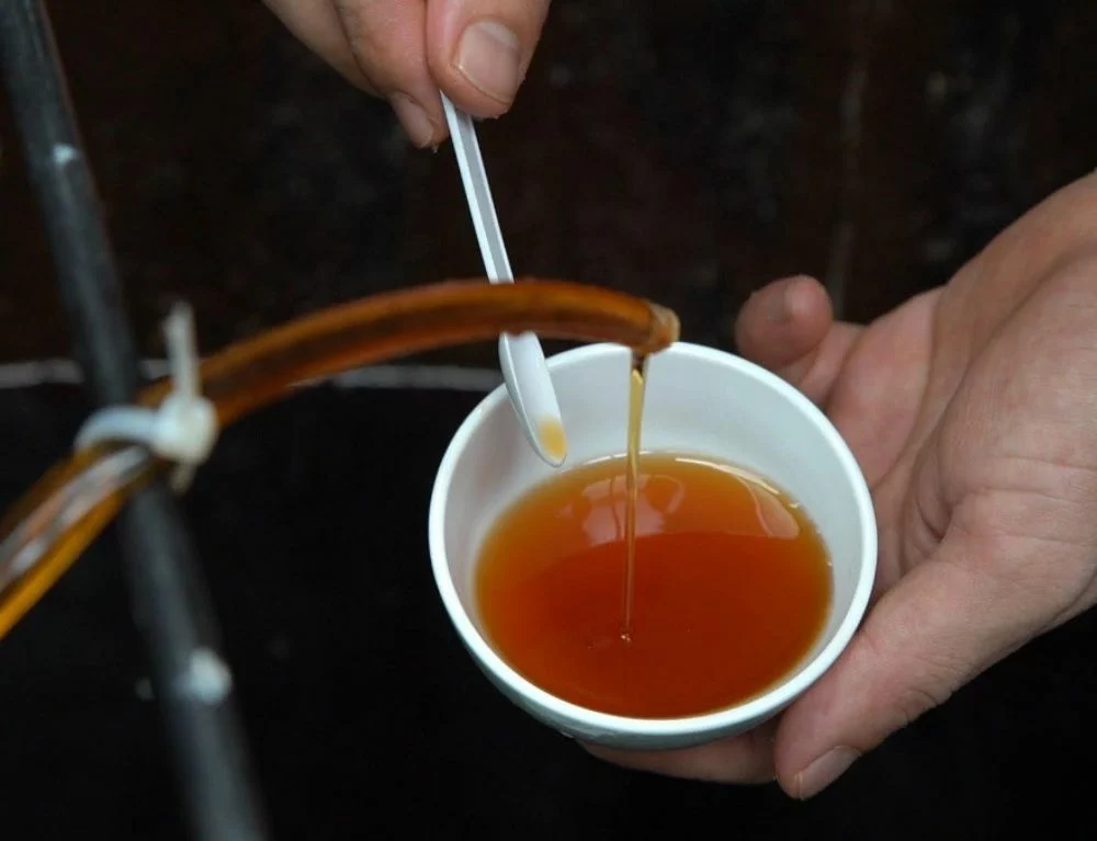 Fish sauce Vietnam - The foundation of everyday cooking