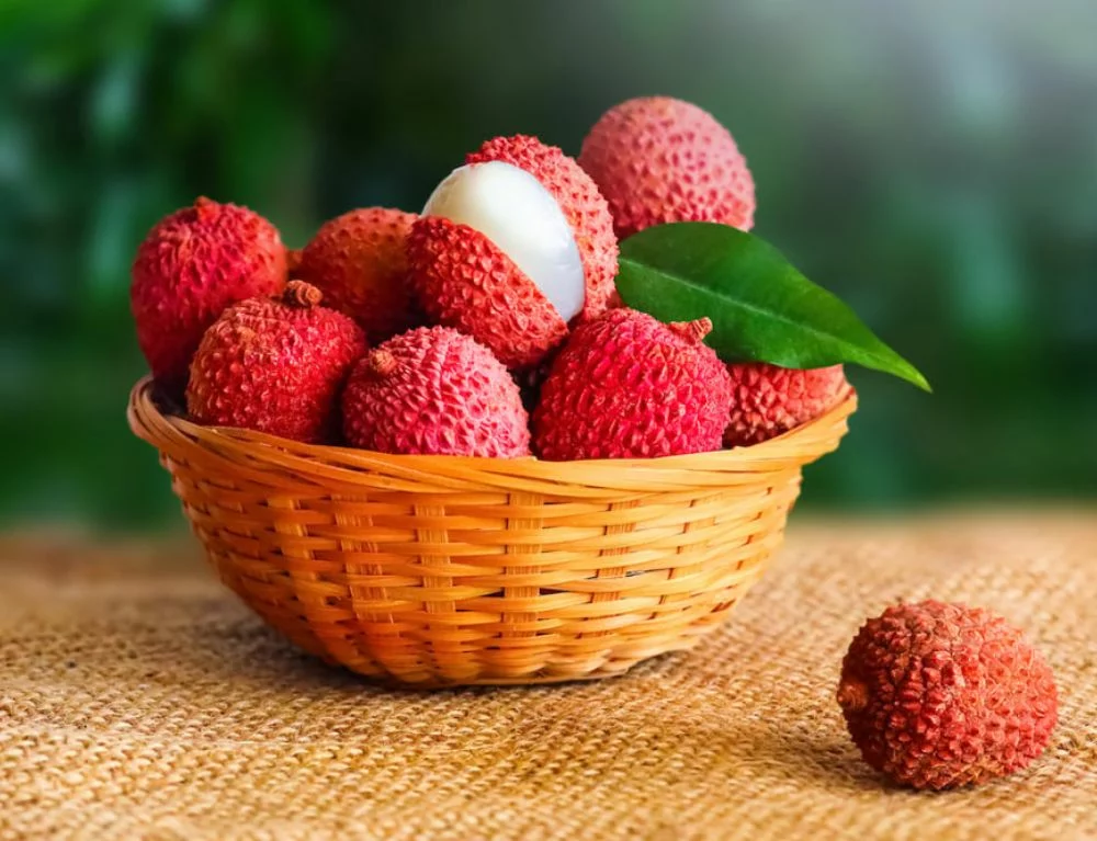 Luc Ngan lychee – The renowned specialty of Bac Giang