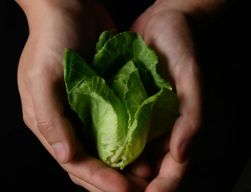 Farm-to-table - One of Chapter Dining's philosophies
