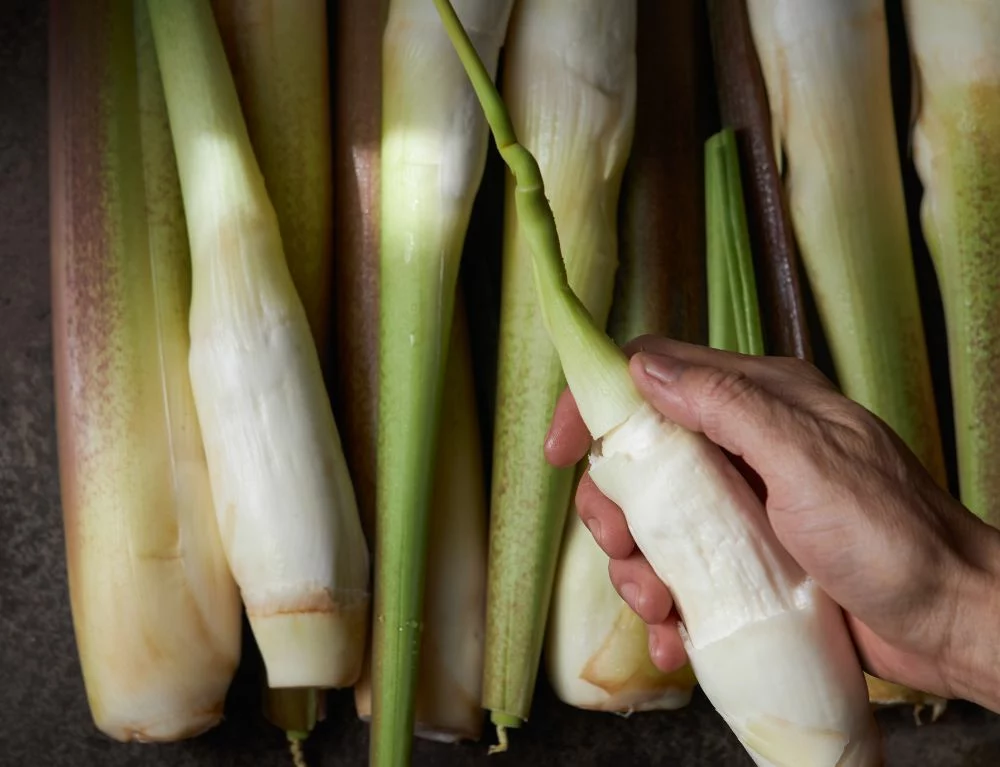 Zero-waste has become a guiding principle at Chapter when crafting new dishes