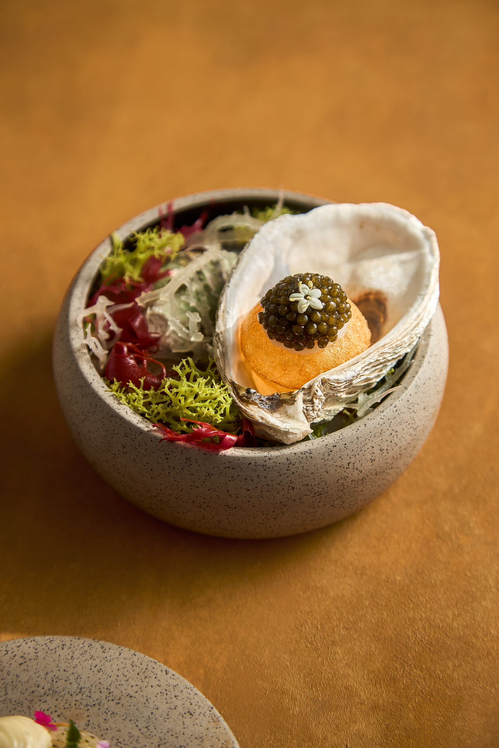 a-trio-of-starters-delivers-balanced-taste-new-chapter-dining-menu