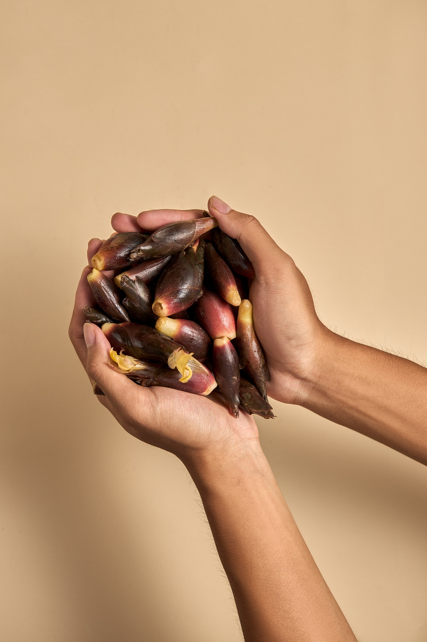 tender-myoga-buds-deliver-crisp-texture-and-delicate-floral-aroma-naturally