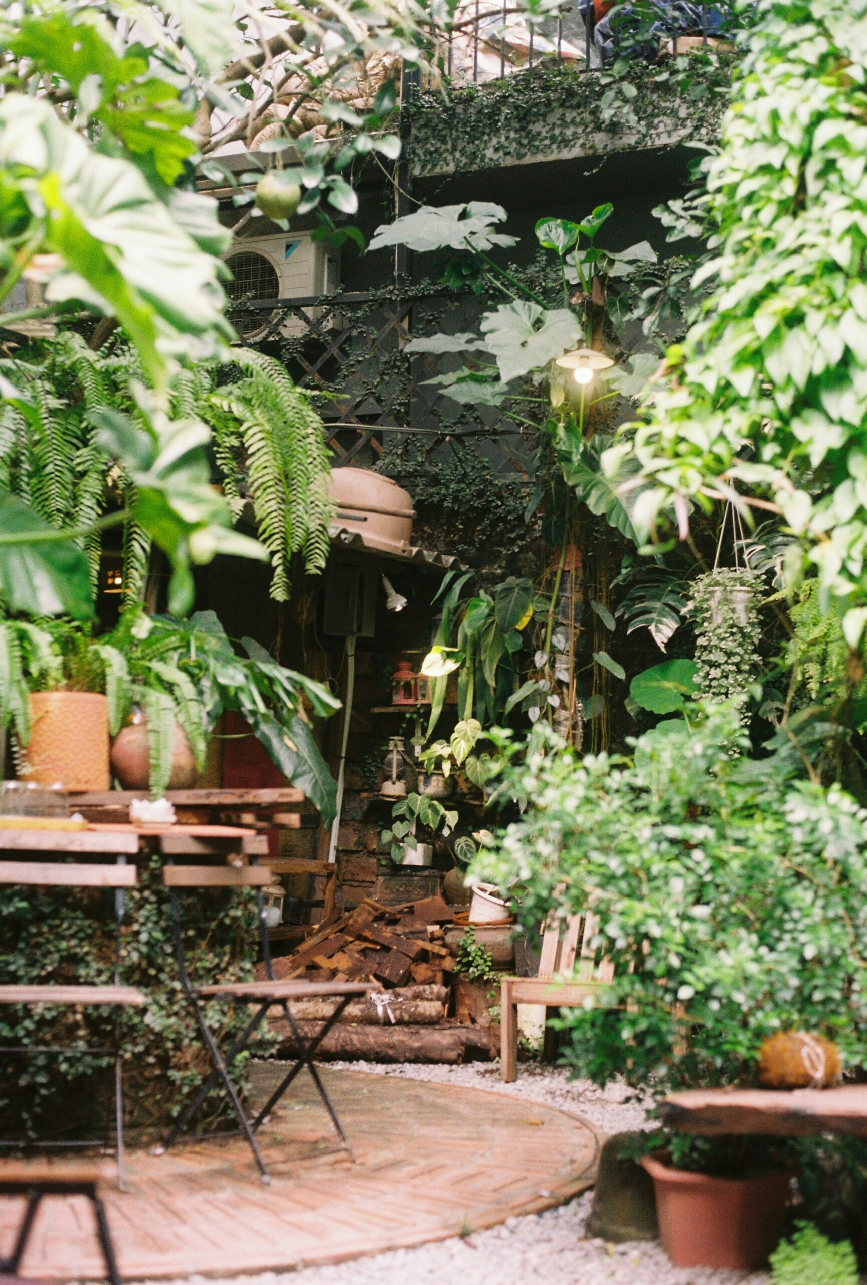 Budget-Friendly Hidden Gem