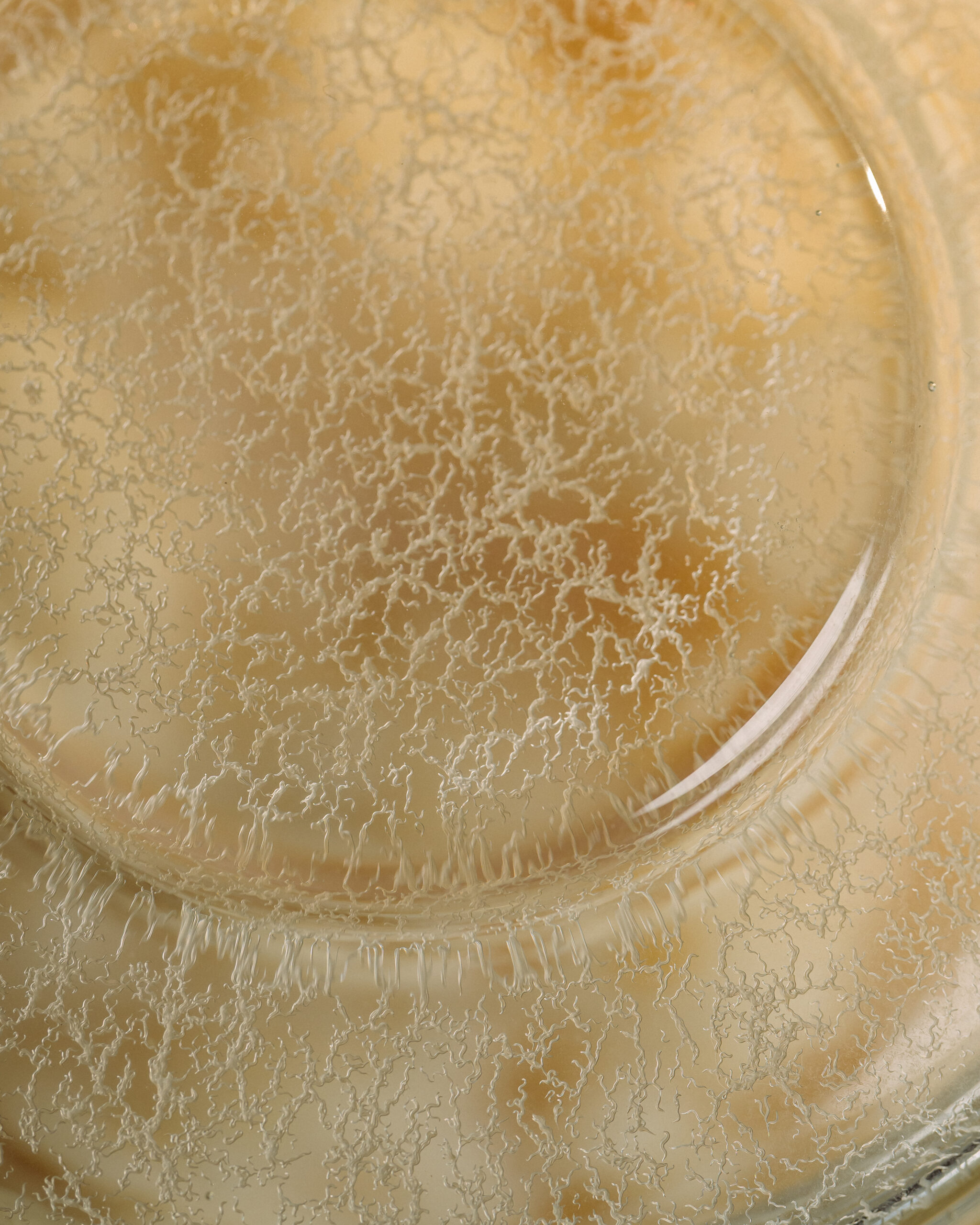 Contemporary Vietnamese flavors through fermentation at Chapter Dining Hanoi