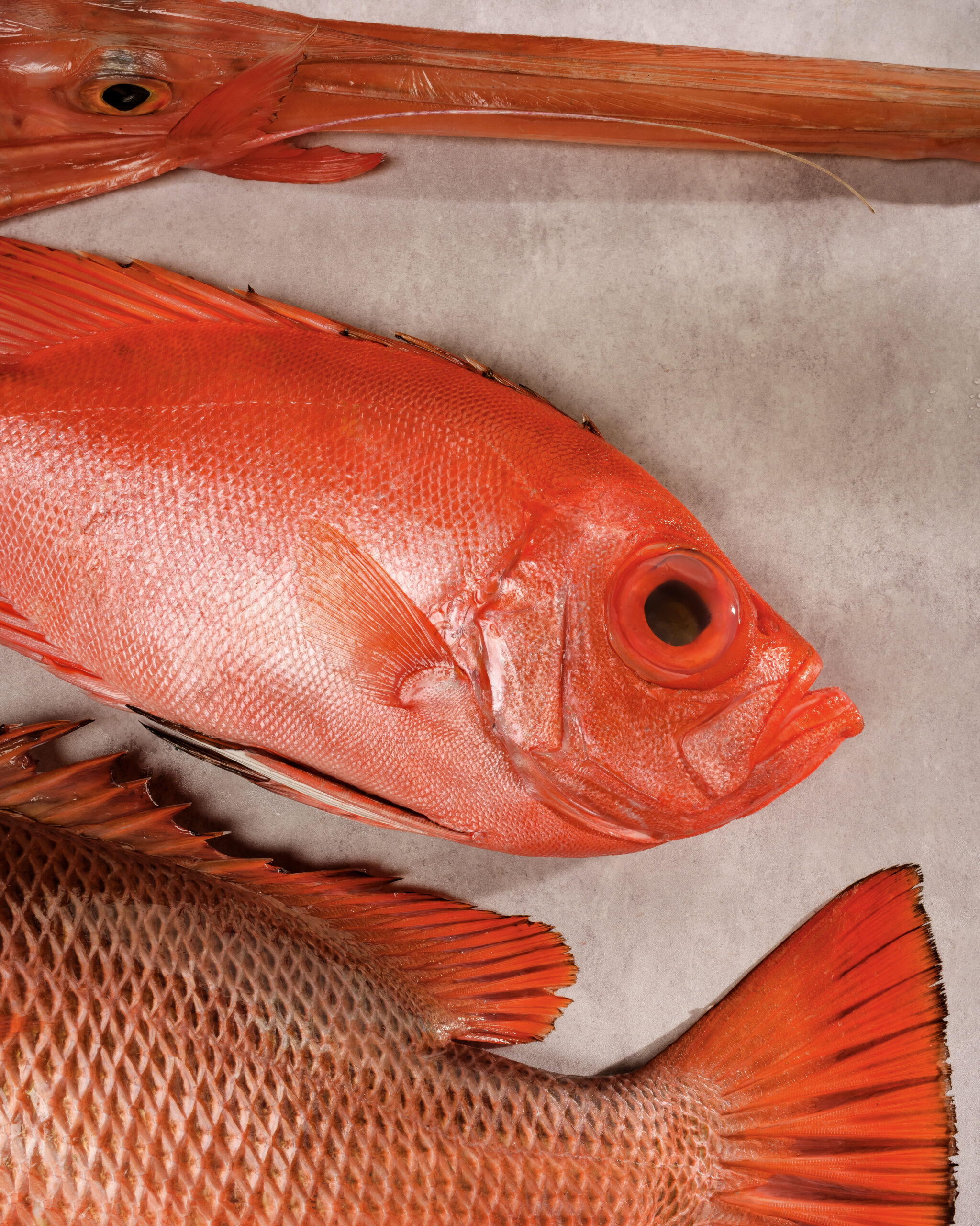 Seasonal ingredients inspired by Northern Vietnamese heritage at Chapter Dining
