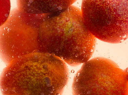 The vibrant character of plum brings balance and energy to every bite.