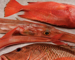 Seasonal Fish at Chapter Dining featuring contemporary Vietnamese fine dining in Hanoi
