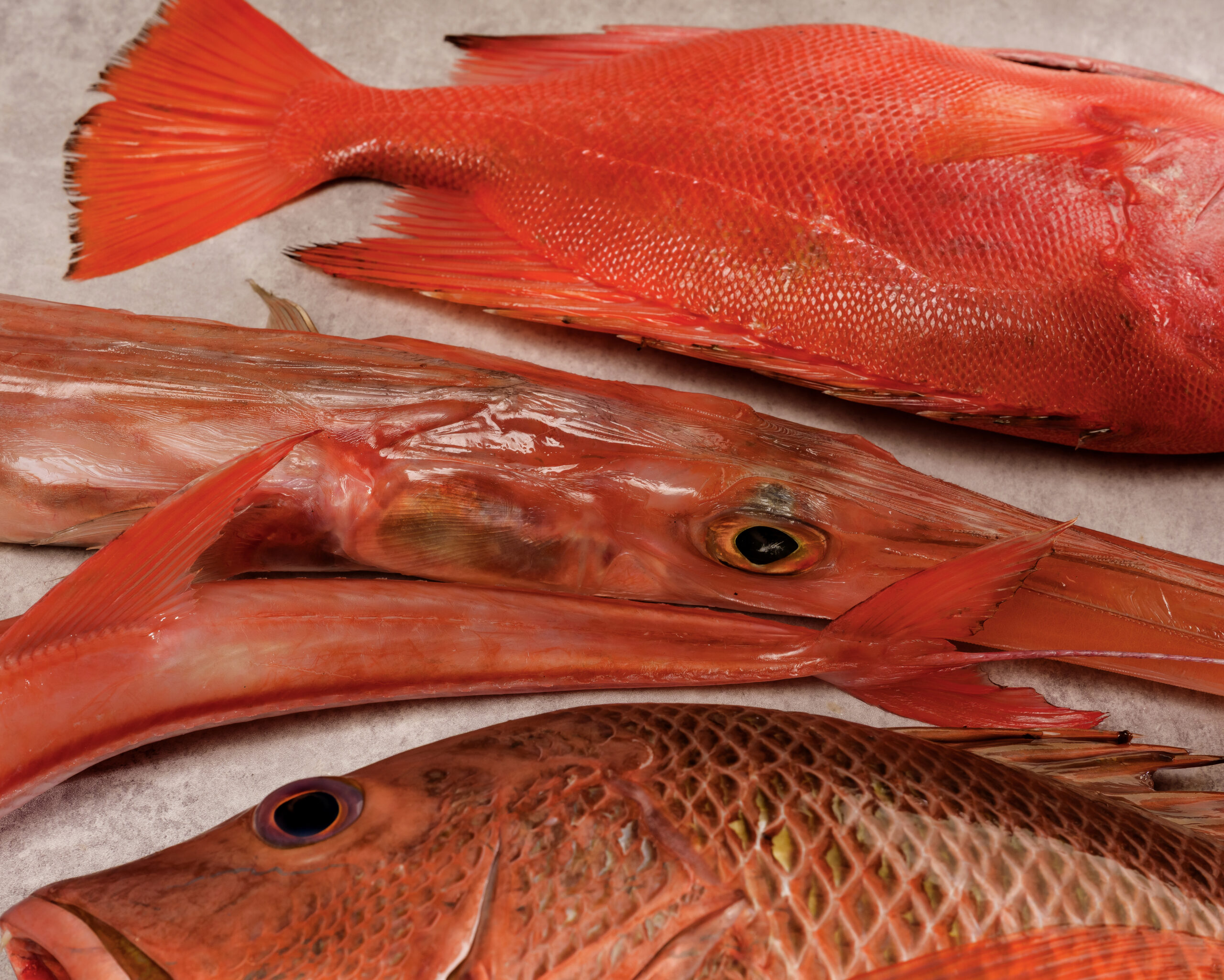Seasonal Fish at Chapter Dining featuring contemporary Vietnamese fine dining in Hanoi