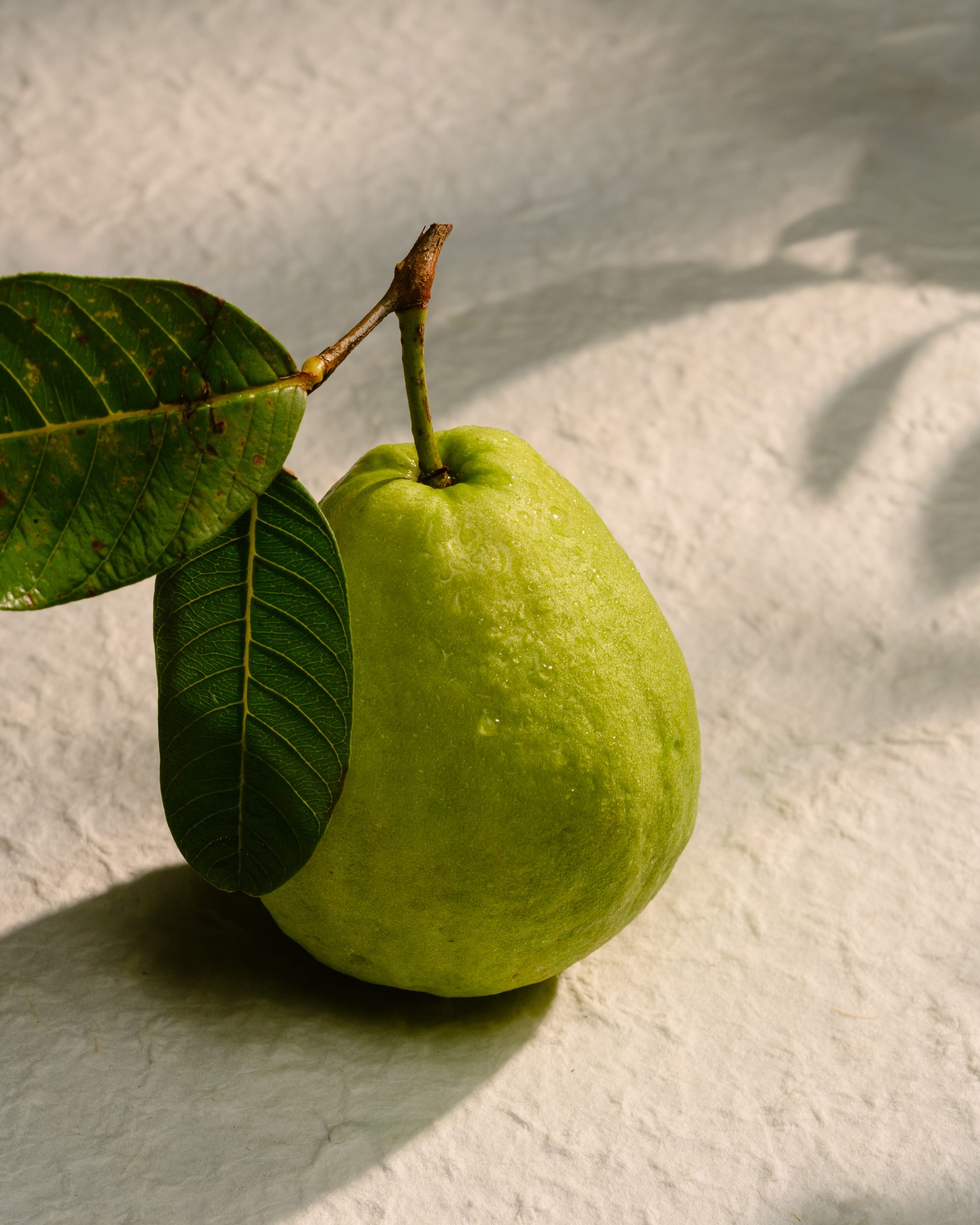 Guava acidity creating balance and complexity in fine dining dishes