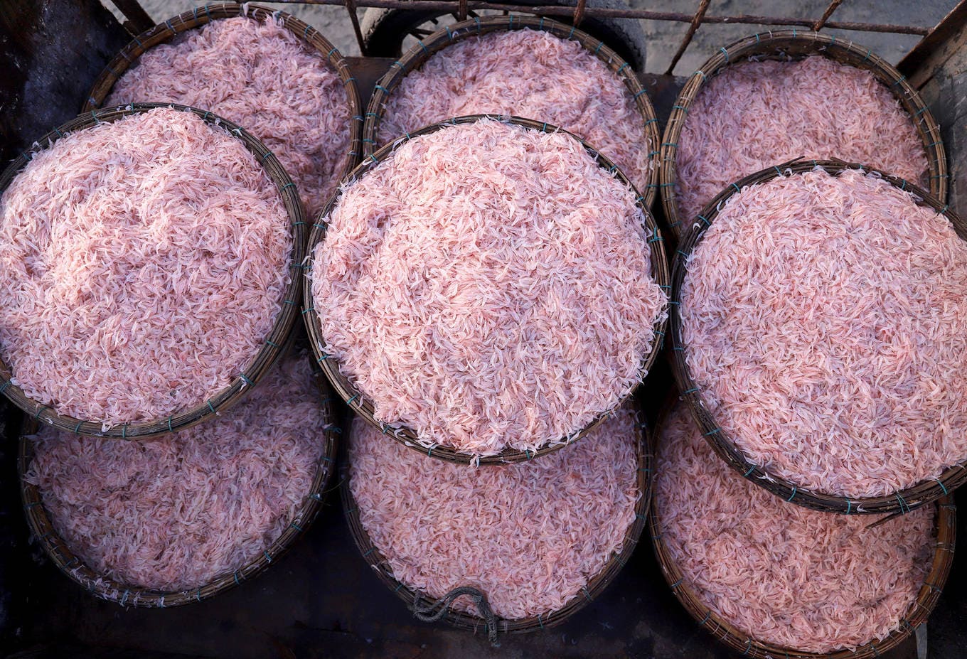 Main ingredients used to make traditional Vietnamese shrimp paste mam tom including marine shrimp and sea salt
