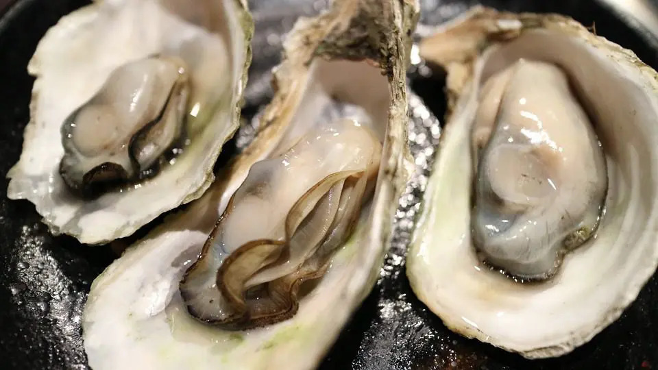 Seasonal oyster sourced from Northern Vietnam creating a refined oyster appetizer at Chapter Dining