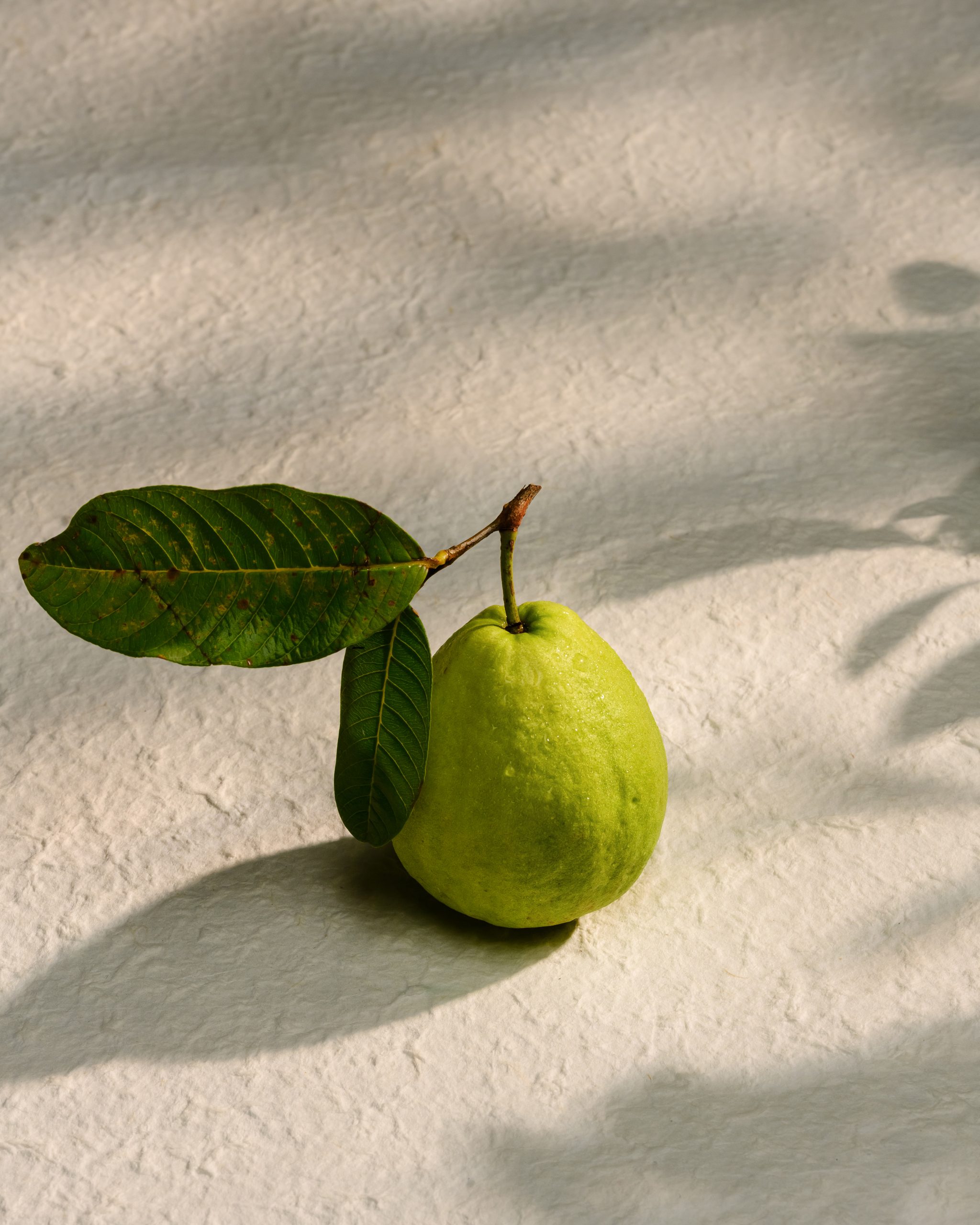 Seasonal food harvested at peak ripeness for contemporary cuisine