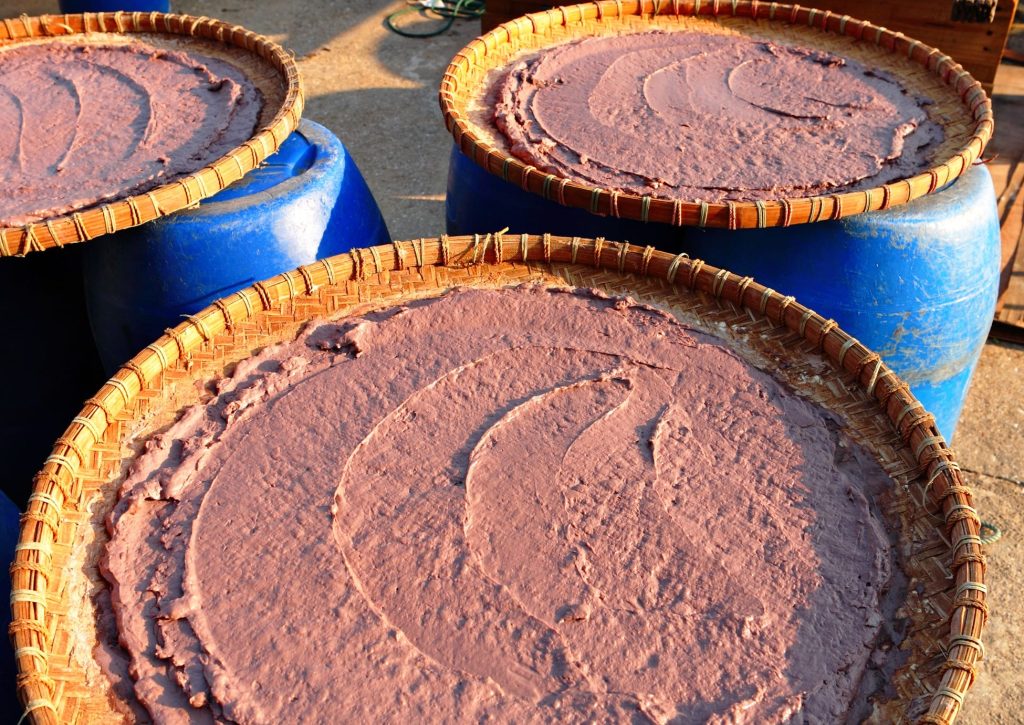 Traditional process of producing mam tom through natural fermentation in Northern Vietnam