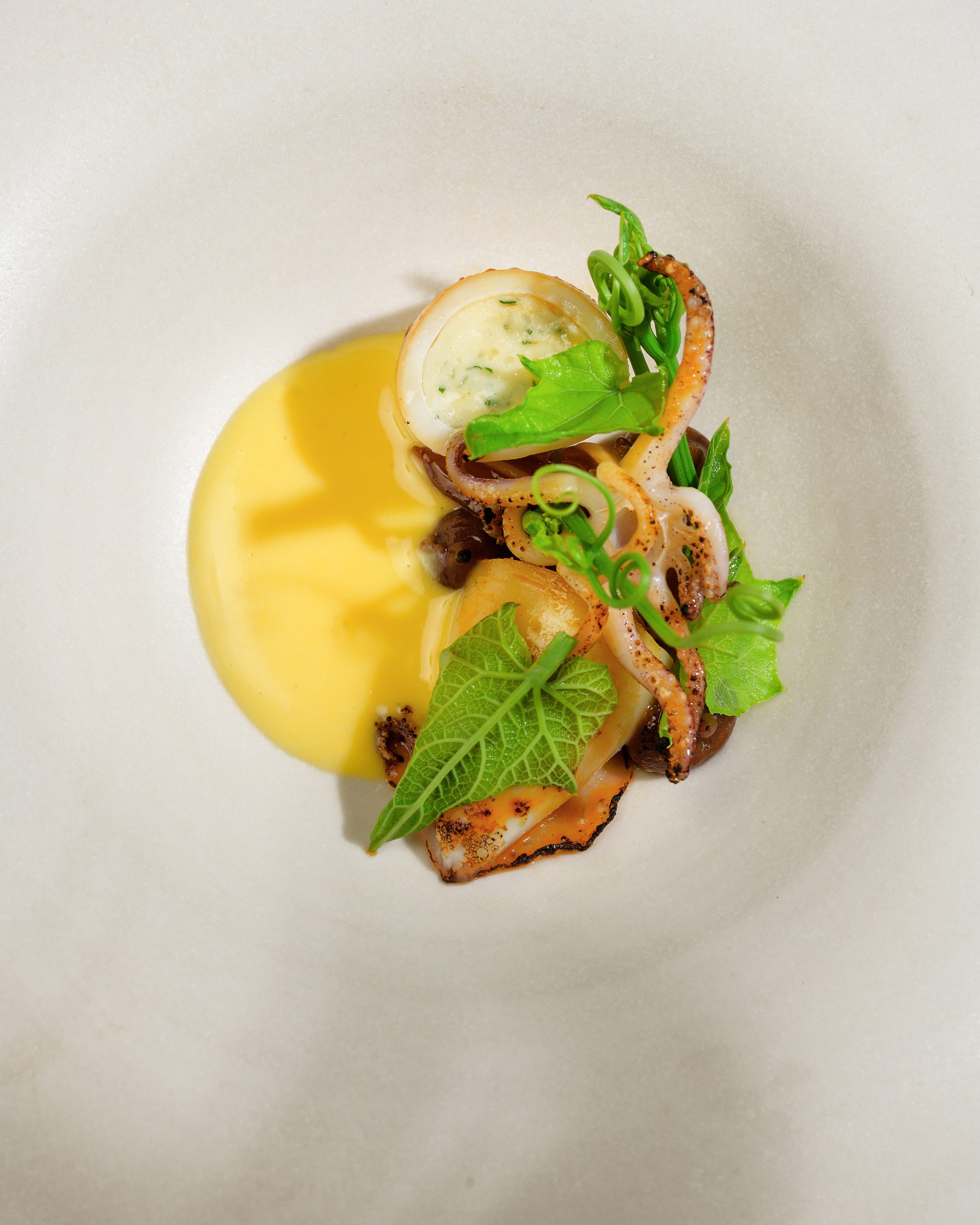 Baby squid with pig’s ear and black ginger in Hanoi fine dining