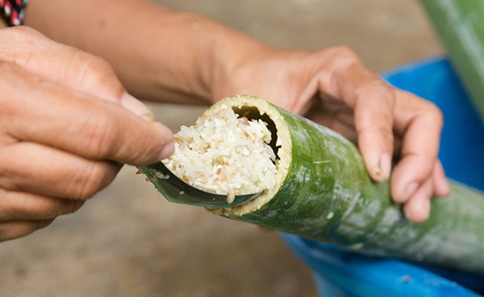 Glutinous rice and fresh bamboo tubes used to make Vietnamese cơm lam