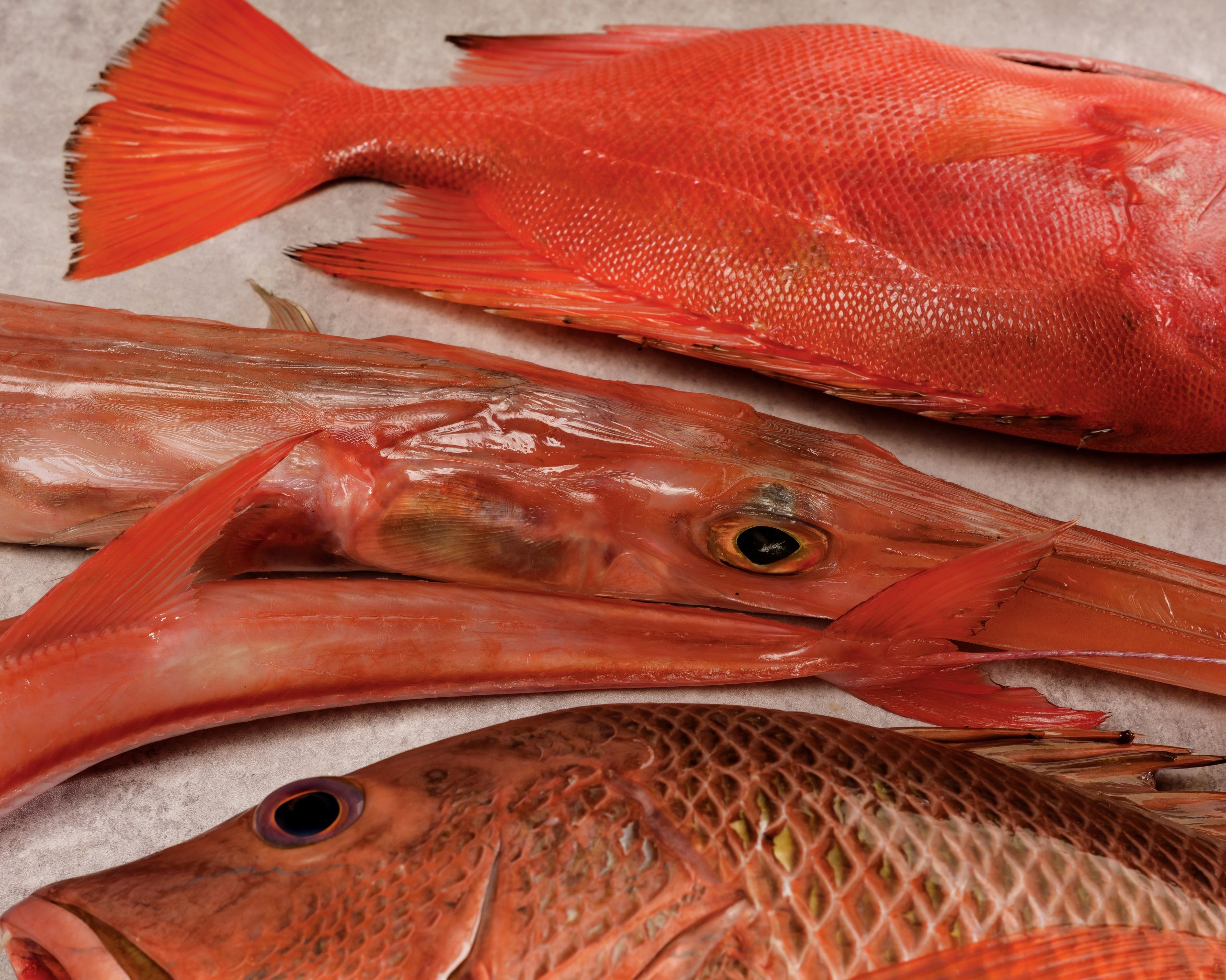 Vietnamese summer seafood freshly caught along the coast during the warmer months