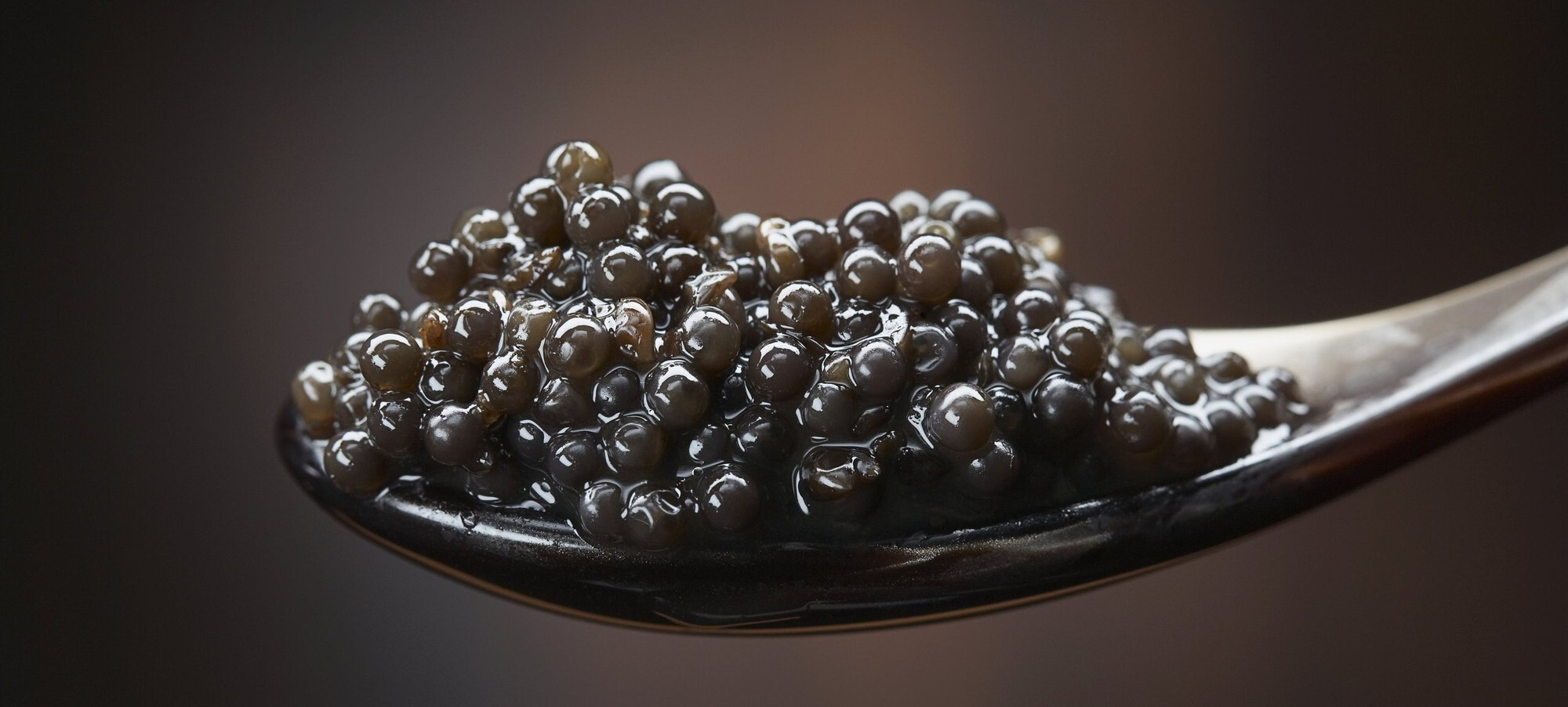 Caviar used as a salty finishing element with swimmer crab