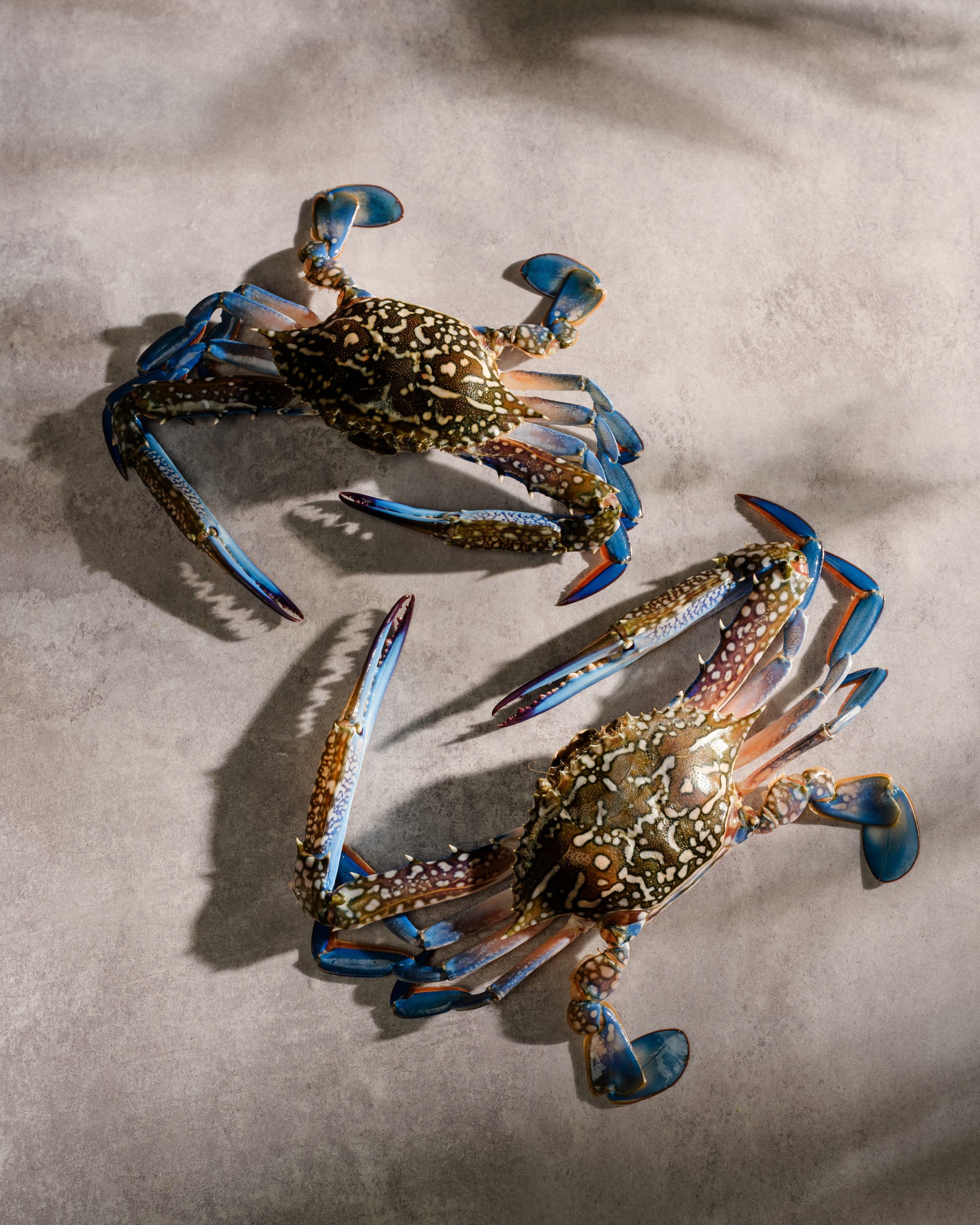 Fresh Vietnamese swimmer crab prepared as a light summer dish