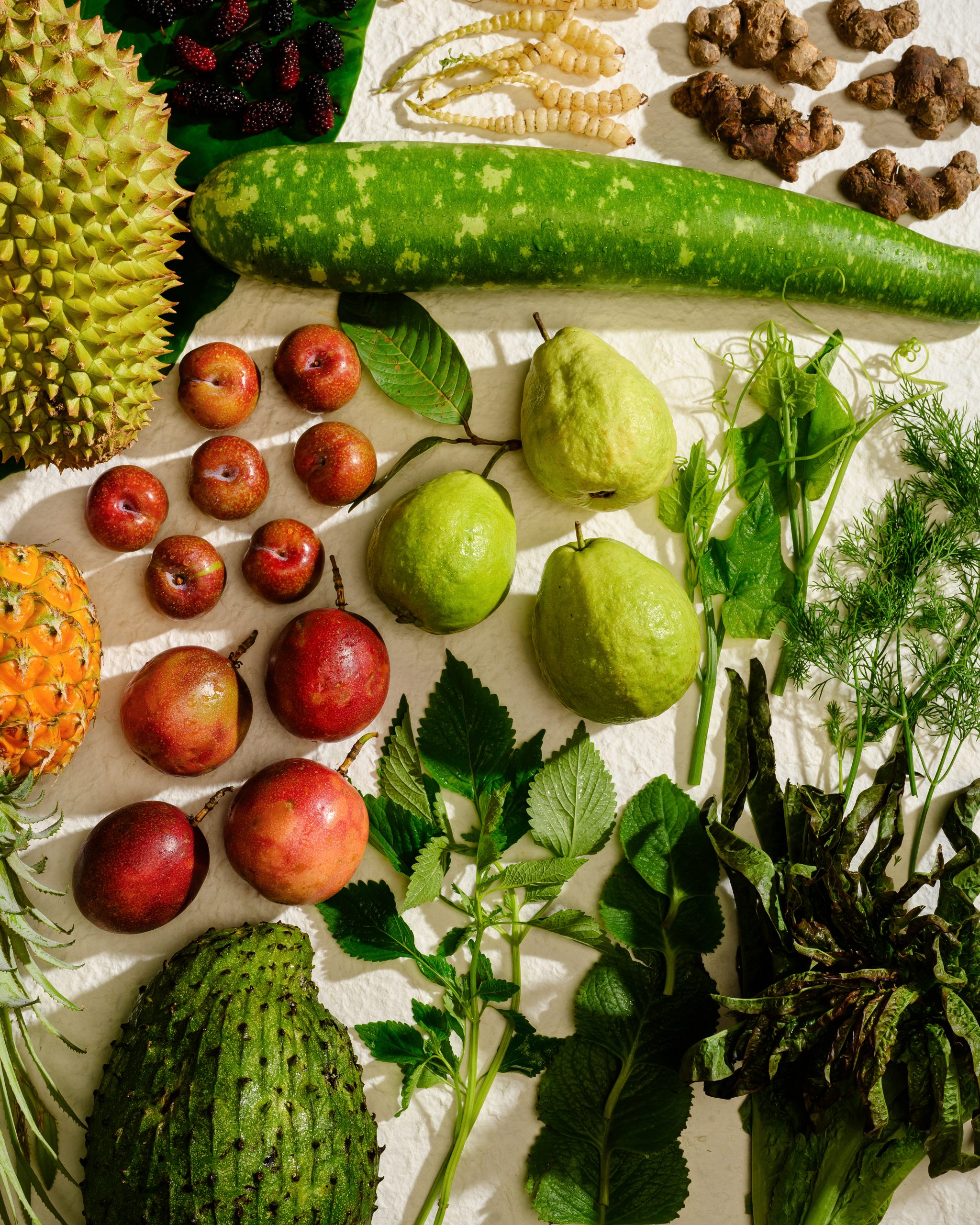 Northern Vietnamese cuisine courses with black ginger, plum and mắc mật at Chapter Dining