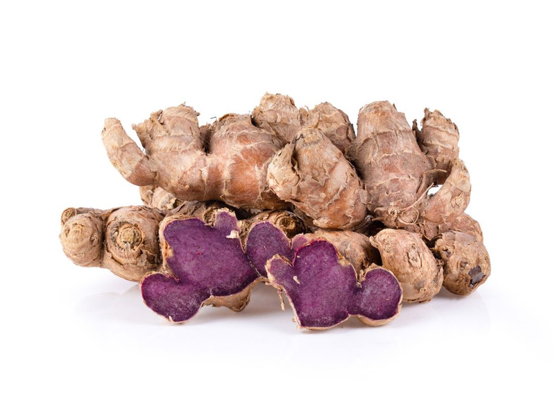 Fresh black ginger rhizomes used as a valuable Vietnamese highland ingredient